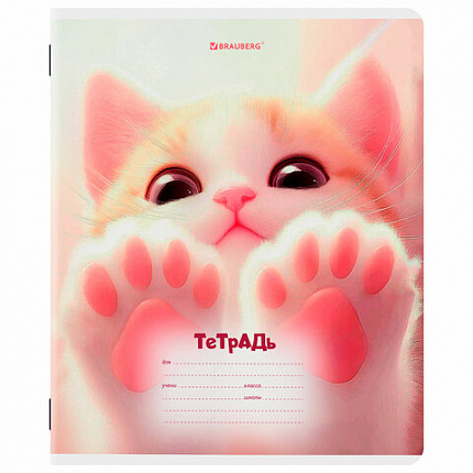 Тетрадь 12 л. BRAUBERG клетка, обложка картон, МИКС-1, 107268