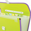 Папка-портфель пластиковая BRAUBERG "JOY", А4 (330х245х35 мм), 13 отделений, с окантовкой, салатовая, 227974