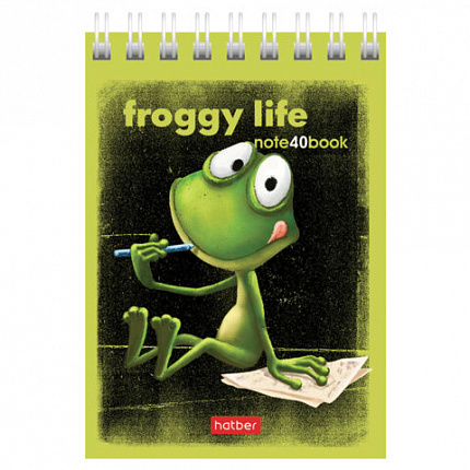 Блокнот МАЛЫЙ ФОРМАТ А7, 40 л., гребень, картон, клетка, HATBER, "Лягух Кир", 081184, 40Б7В1гр