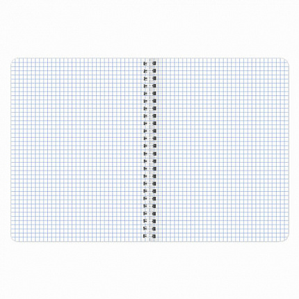 Тетрадь А5 96 л. BRAUBERG, гребень, клетка, обложка картон, "Безмятежность" (микс в спайке), 404423