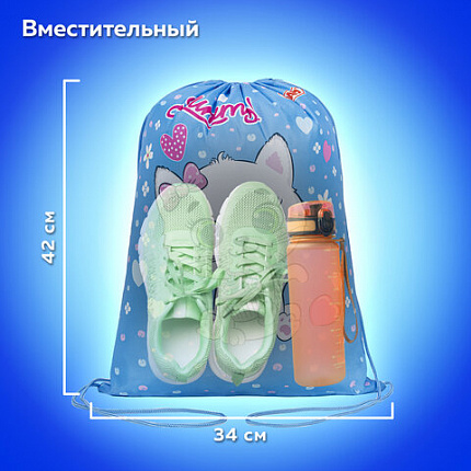 Мешок для обуви ПИФАГОР, 1 отделение, 42х34 см, "Вкусный кексик", 271603