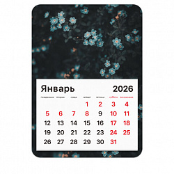 Календарь отрывной на магните на 2026 г., BRAUBERG, 130x180 мм, склейка, "Цветы", 117293