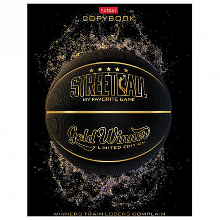 Тетрадь А5 48 л. HATBER скоба, клетка, матовая ламинация, 3D, "Ассорти" (5 видов в спайке), 48Т5лофВ1