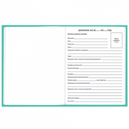 Дневник 1-11 класс 40 л., твердый, BRAUBERG, матовая ламинация, АССОРТИ, 107165