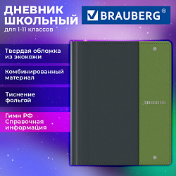 Дневник 1-11 класс 48л, кожзам (твердая) комбинированная, фольга, BRAUBERG, Combi 2, 107643