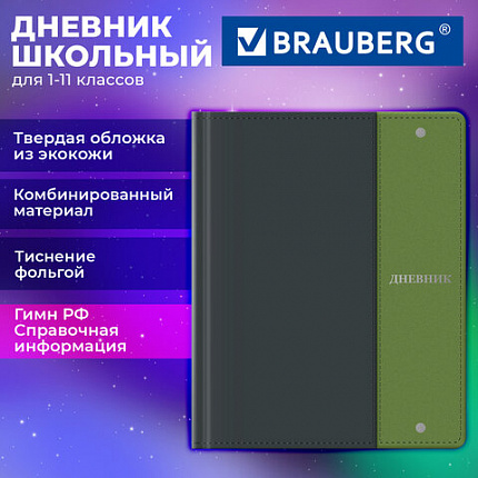 Дневник 1-11 класс 48л, кожзам (твердая) комбинированная, фольга, BRAUBERG, Combi 2, 107643