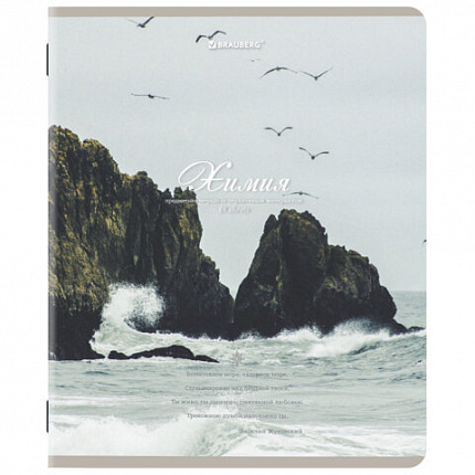 Тетради предметные, КОМПЛЕКТ 12 ПРЕДМЕТОВ, 48 л., SoftTouch, BRAUBERG, "ESTHETICS", 404833