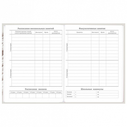 Дневник 5-11 класс 48 л., твердый, BRAUBERG, глянцевая ламинация, с подсказом, "Котик", 107188