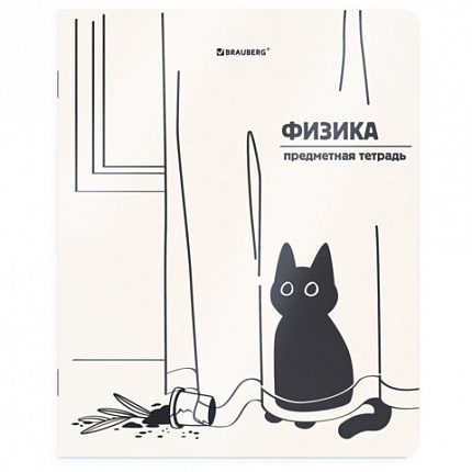 Тетради предметные, КОМПЛЕКТ 12 ПРЕДМЕТОВ 48л, пластиковая обложка, BRAUBERG "КОТ-НЕПОСЕДА", 405542