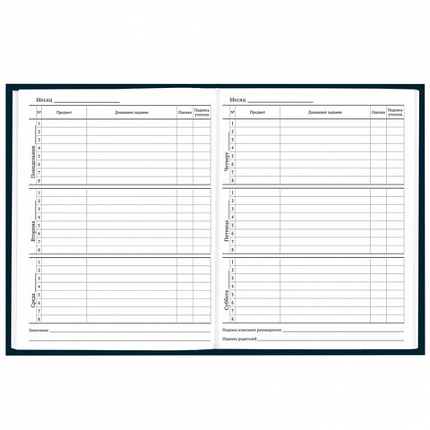 Дневник 1-11 класс 40 л., твердый, BRAUBERG, матовая ламинация, "Dragon", 107178