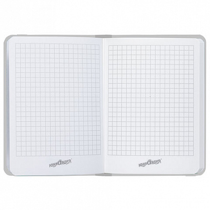 Блокнот с резинкой в клетку 96 л., МАЛЫЙ ФОРМАТ А6 (109х148 мм), твердая обложка, ЮНЛАНДИЯ, "Совушка", 113743