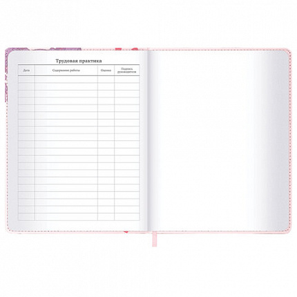 Дневник 1-11 класс 48 л., кожзам (твердая), застежка, BRAUBERG, "Аниме девочка", 107228