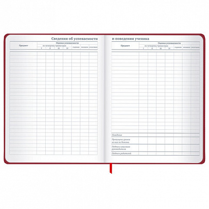 Дневник 1-11 класс 48 л., твердый, BRAUBERG, матовая ламинация, резинка, закладка-ляссе, с подсказом, "Мото", 107236