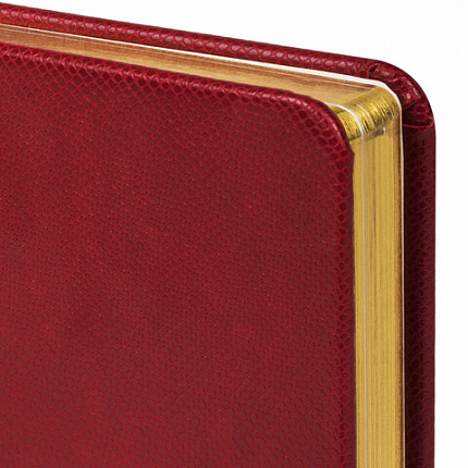 Ежедневник недатированный МАЛЫЙ ФОРМАТ 100x150 мм А6 BRAUBERG "Iguana", под кожу, 160 л., красный, 114468