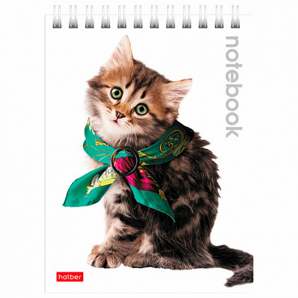 Блокнот МАЛЫЙ ФОРМАТ А6 110х145 мм, 40 л., гребень, лакированная обложка, клетка, HATBER, "Милые Котята", 004667, 40Б6B1гр