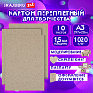 Картон переплетный, толщина 1,5 мм, А3 (297х420 мм), КОМПЛЕКТ 10 шт., BRAUBERG ART, 115337