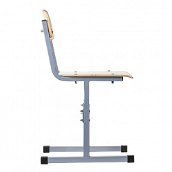 Стул ученический регулируемый "Ученик", 380х480х720-800 мм, рост 4-6, серый каркас