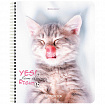 Тетрадь А5 80 л. BRAUBERG, гребень, клетка, глянцевая ламинация, "Довольные Коты" (микс в спайке), 404417