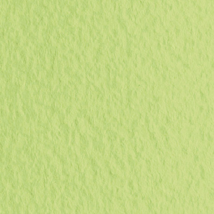 Бумага для пастели (1 лист) FABRIANO Tiziano А2+ (500х650 мм), 160 г/м2, салатовый теплый, 52551011