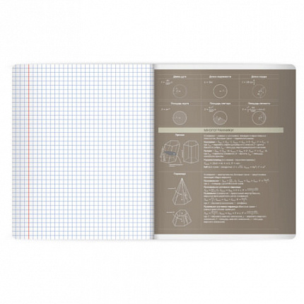 Тетрадь предметная MonoPastel 48л, пластиковая обложка, ГЕОМЕТРИЯ, клетка, подсказ, BRAUBERG, 405506