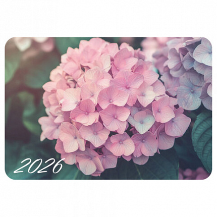 Календарь карманный на 2026 г, BRAUBERG, 64х93 мм, АССОРТИ №2, 20 видов, 117304