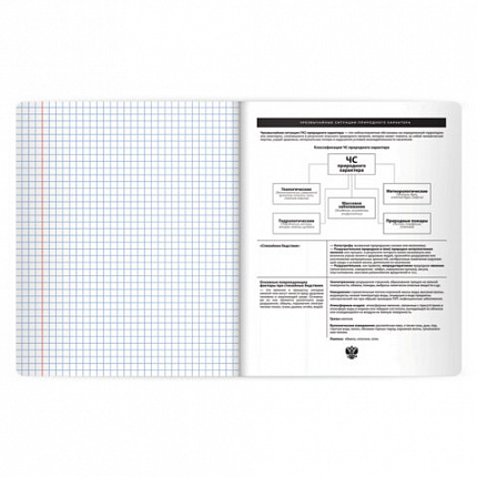 Тетрадь предметная BLACK MODE 48л, пластиковая обложка, ОБЗР, клетка, подсказ, BRAUBERG, 405526