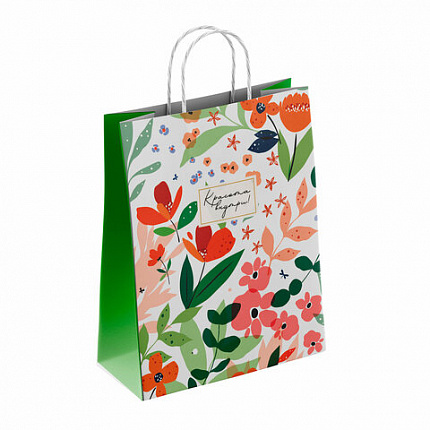 Крафт-пакет бумажный "Красота внутри" 26х15х35 см, с кручеными ручками, плотность 100 г/м2, белый, 113563