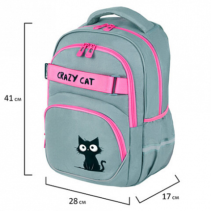 Рюкзак BRAUBERG MOTION, 2 отделения, 3 кармана, "Crazy cat", 41х28х17 см, 273115