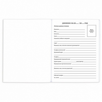 Дневник 1-11 класс 40 л., на скобе, ПИФАГОР, обложка картон, "Футбол", 107136