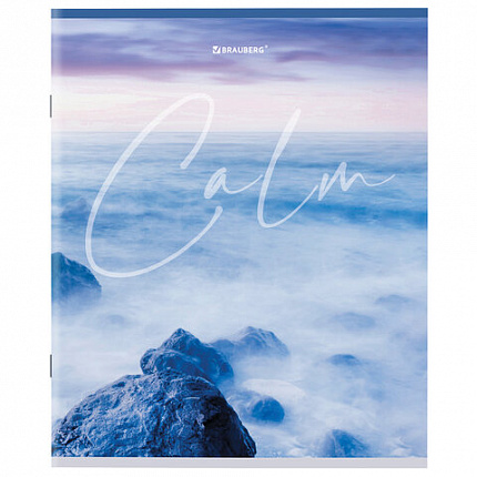 Тетрадь А5 96 л. BRAUBERG скоба, клетка, обложка картон, "Calm" (микс в спайке), 404435