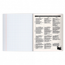 Тетрадь предметная КОТ-НЕПОСЕДА 48 л., пластиковая обложка, АНГЛИЙСКИЙ ЯЗЫК, клетка, подсказ, BRAUBERG, 405529