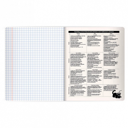 Тетрадь предметная КОТ-НЕПОСЕДА 48л, пластиковая обложка, АНГЛИЙСКИЙ ЯЗЫК, клетка, подсказ, BRAUBERG, 405529