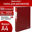 Папка 100 вкладышей BRAUBERG "Office", красная, 0.8 мм, 271334