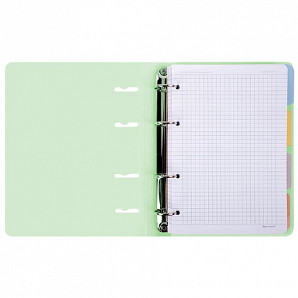 Тетрадь на кольцах А5 175х220мм, 120л, пластик, с резинкой и разделителями, BRAUBERG, Зеленый, 404632