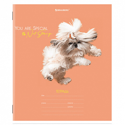 Тетрадь 18 л. BRAUBERG линия, обложка картон, "СОБАЧКИ", 106481