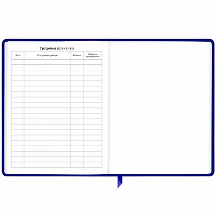 Дневник 1-11 класс 48 л., кожзам (твердая с поролоном), фольга, BRAUBERG HOLIDAY, "Good Idea", 106567