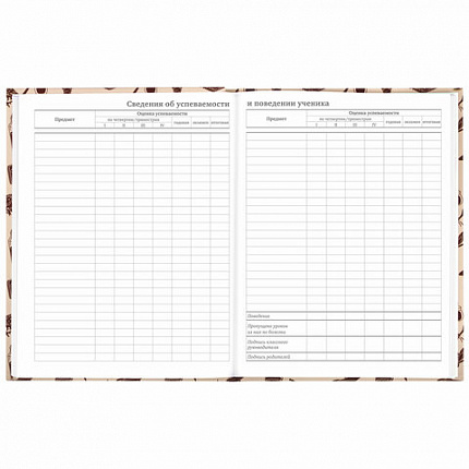 Дневник 5-11 класс 48 л., твердый, BRAUBERG, выборочный лак, с подсказом, "Магия", 106885