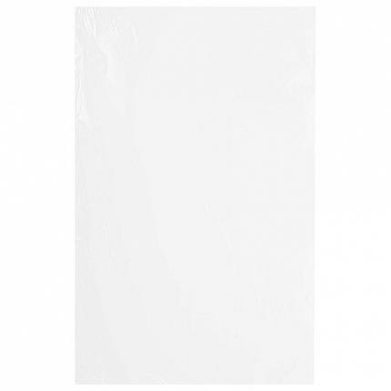 Пакеты фасовочные ПРОЧНЫЕ, первичный ПВД 24х37 см, КОМПЛЕКТ 500 шт., 25 мкм