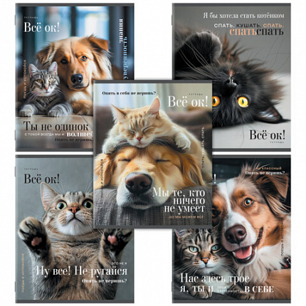 Тетрадь А5, 48 л., STAFF, скоба, клетка, офсет №2 ЭКОНОМ, обложка картон, КОТЫ_АССОРТИ, 405627