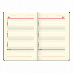 Ручка шариковая PARKER "Jotter Plastic CT", корпус черный, ежедневник А5 черный, золотой срез, пакет, 880894