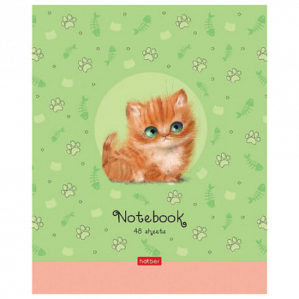 Тетрадь А5 48 л. HATBER скоба, клетка, обложка картон, "Кошарики" (микс в спайке), 075302, 48Т5В1