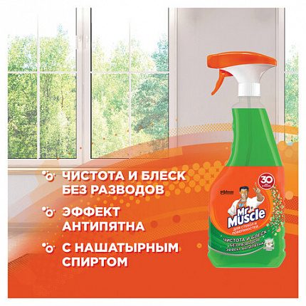 Средство для мытья стекол и зеркал 530 мл, МИСТЕР МУСКУЛ "Утренняя роса", распылитель