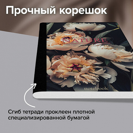 Тетрадь А4 96 л. BRAUBERG, на сшивке с корешком, клетка, обложка картон, "Flowers", 405286
