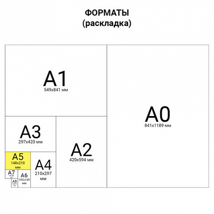 Тетрадь бумвинил А5 48 л. скоба, офсет №1, клетка, с полями, "ЗОЛОТО Metallic", HATBER, 059231, 48Т5бвВ1