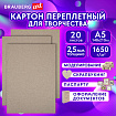 Картон переплетный, толщина 2,5 мм, А5 (148х210 мм), КОМПЛЕКТ 20 шт., BRAUBERG ART, 665560