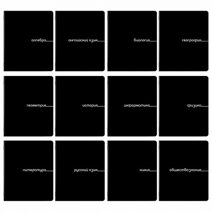 Тетради предметные, КОМПЛЕКТ 12 ПРЕДМЕТОВ, 48 л., обложка картон, BRAUBERG "BLACK", 405164