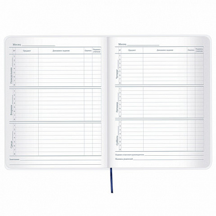 Дневник 1-11 класс 48 л., кожзам (гибкая), термотиснение, фольга, BRAUBERG, "МЕДВЕДЬ", 105969