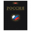 Тетрадь А5 48 л., HATBER, скоба, клетка, матовая ламинация, 3D-фольга, 3D-лак, Россия (микс), 093210, 48Т5лофлВ1