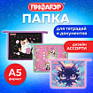 Папка для тетрадей ПИФАГОР А5, 1 отделение, пластик, на молнии, АССОРТИ для девочек, 274522