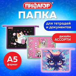 Папка для тетрадей ПИФАГОР А5, 1 отделение, пластик, на молнии, АССОРТИ для девочек, 274522